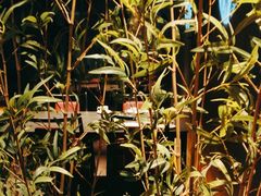 -双海潮·海鲜融合菜(如是海店)