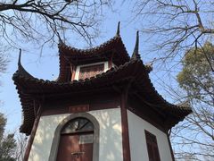 -上海佘山国家森林公园天马山园