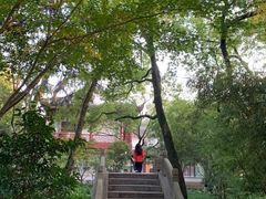 -汇龙潭