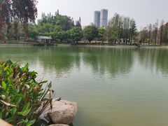 -四海公园(南山区)