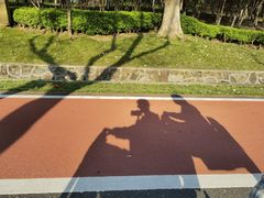 -宜兴龙背山森林公园