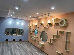 -BABIT巴比特宠物(MOMOPARK店)