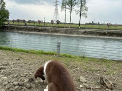 -蜀绣公园
