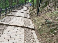 -苏州上方山国家森林公园