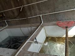 -金台阶鱼馆(于桥水库店)
