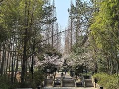 -虞山风景区
