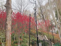 -西安市长乐公园