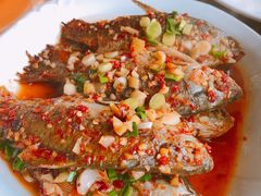 -张氏父子常德肠子馆(红星总店)