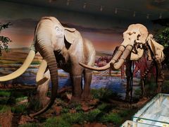 -湖南省地质博物馆