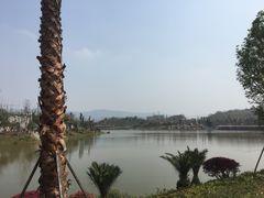 -枫香湖儿童公园