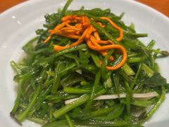 清炒水性杨花-老滇山寨•云南特色菜•地方菜•民族风情歌舞表演(金碧店)