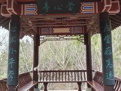 -佛慧山