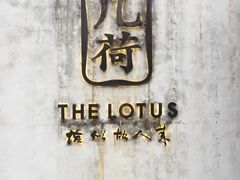 -几荷·恰似故人来(秀水广场店)