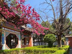 -巍山古城