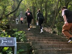-紫金山天文台