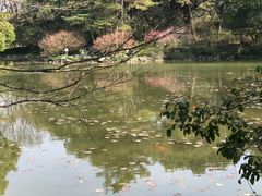 -杭州植物园