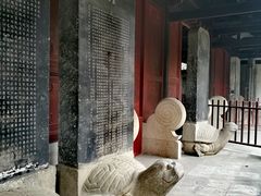 -汇龙潭