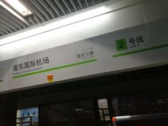 -浦东1号2号航站楼(地铁站)