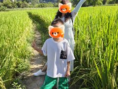 -明仕田园