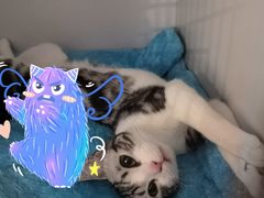 -宠颐生中康贝怡动物医院