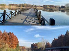 -溱湖国家湿地公园