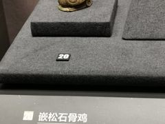 -盘龙城国家考古遗址公园