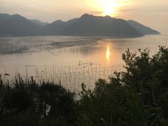 -北岐滩涂
