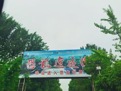 -中国西峡恐龙遗迹园