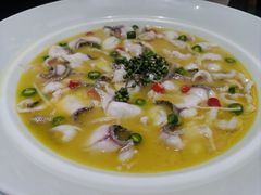 -青花椒花椒鱼(合生汇店)