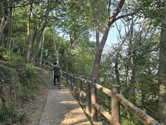 -上海佘山国家森林公园天马山园