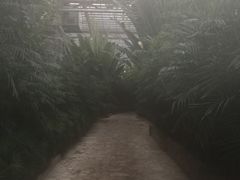 龙达温泉生态城-龙达温泉生态城
