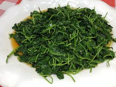 -抚顺美食·老上海味道