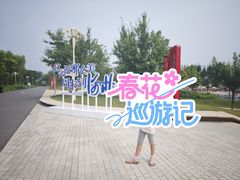 -白洋淀景区