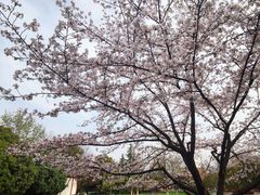-明故宫遗址公园
