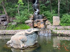 -大连天门山国家森林公园