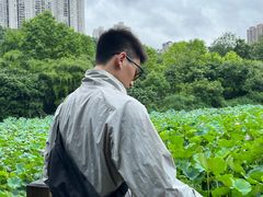 -龙头寺公园