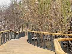 -东郊湿地公园