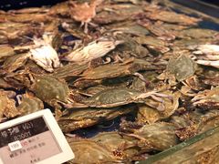 -高佳庄·舟山海鲜(海景旗舰店)