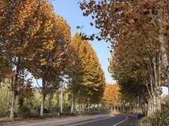 -南京金牛湖风景区