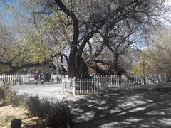 -宗角禄康公园
