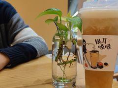 -炖物24章·顺时轻养茶(黄龙店)