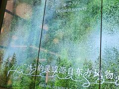 -鹤茶野所(上海首店)