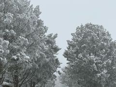 -秦岭终南山世界地质公园翠华山景区