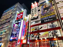 -秋叶原电器街