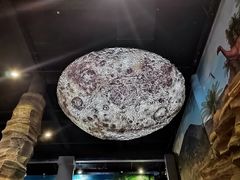 -辽宁古生物博物馆