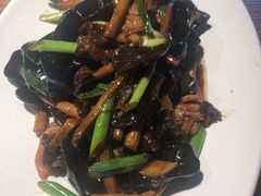 -老板恋上鱼(印象城店)