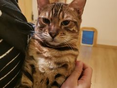 -猫腻·猫咖·撸猫馆(星光大道店)