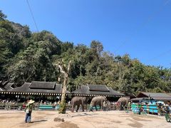 -野象谷景区