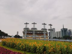-海心沙亚运公园