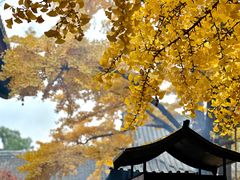 -红螺寺